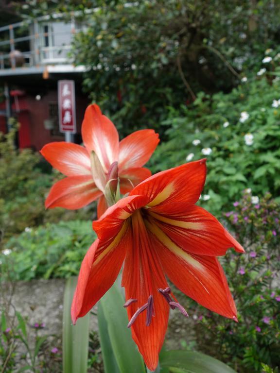 Way Young House Jiufen Exterior foto